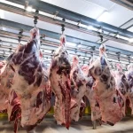 Et Soğuk Hava Deposu